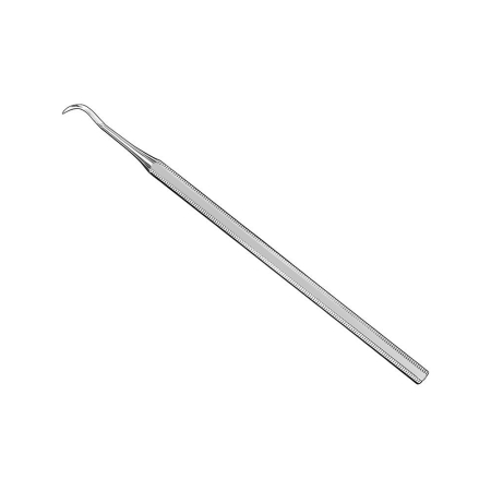 Provisional prosthesis lifter